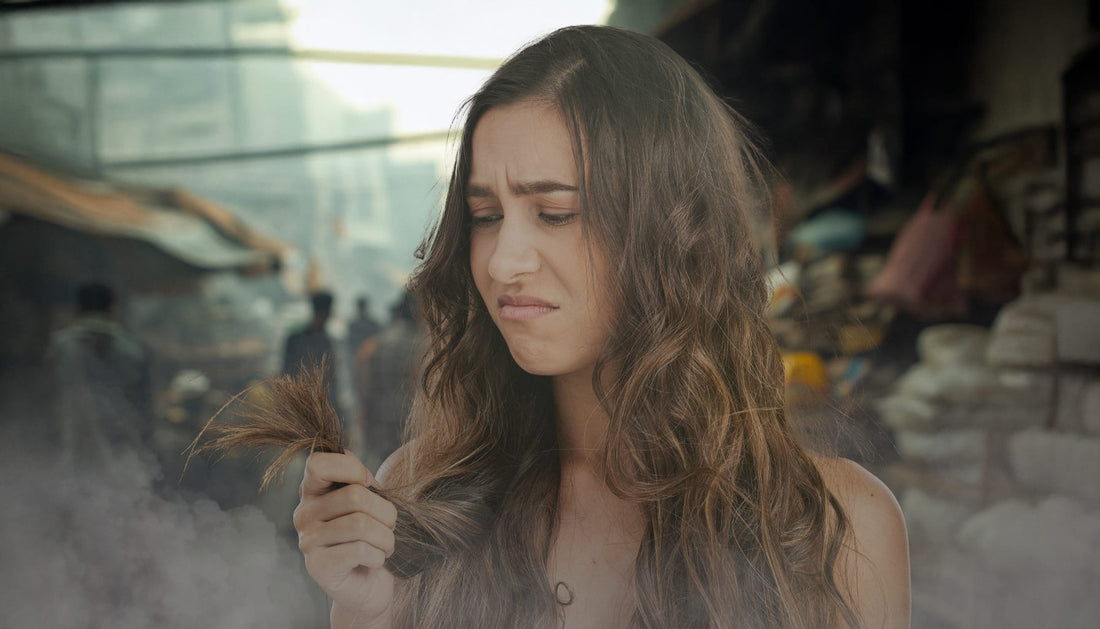 Pollution Effect on Hair Health and Hair Fall